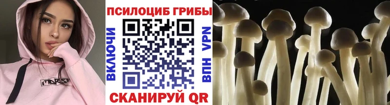 закладки  Ессентуки  маркетплейс клад  Галлюциногенные грибы Cubensis 